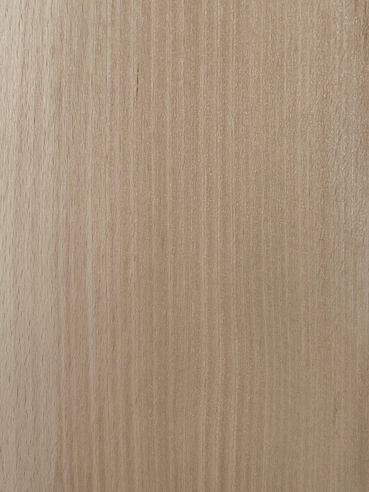 White Birch A4 size Solid Wood Sheet 1 Of 297mm x 210mm x 3mm,4mm, 6mm or 8mm