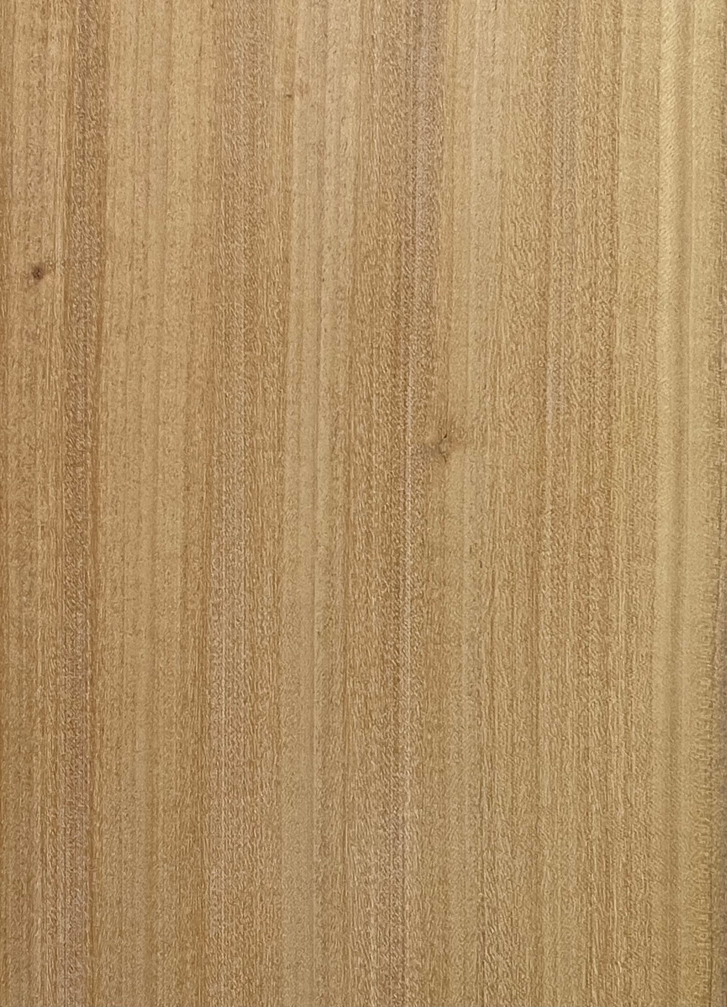 1 x Solid East Indian Satinwood Wood Sheet 340mm x 120mm x 3mm, 4mm or 6mm